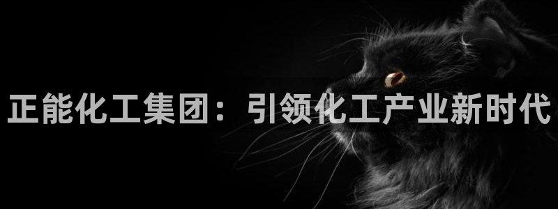 球盟会app手机登录