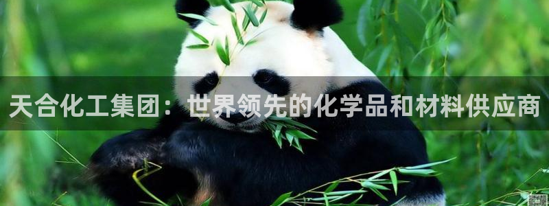 球盟会qmh网页版登录