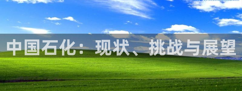 球盟会官方登录平台入口