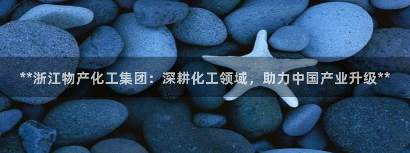 球盟会论坛