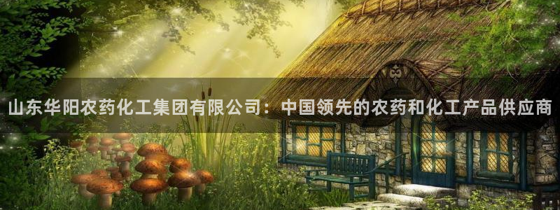 球盟会能提现吗安全吗