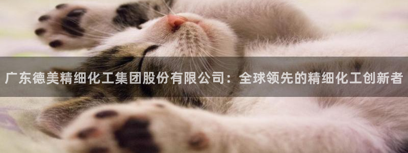 球盟会黑网