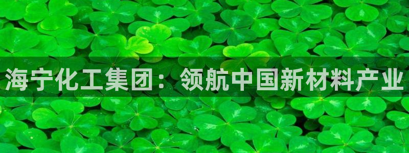 球盟会官方下载