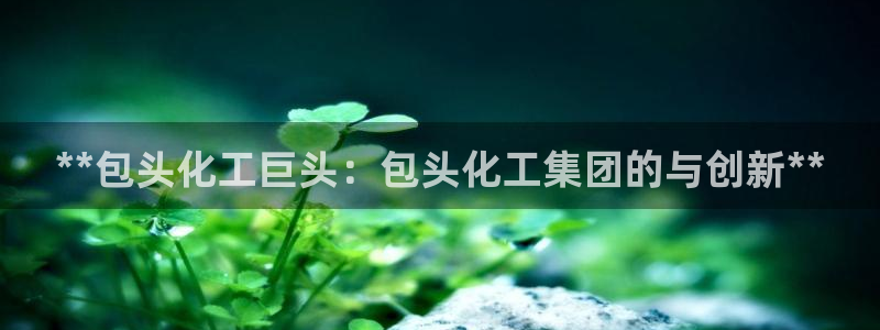 球盟会登录网址