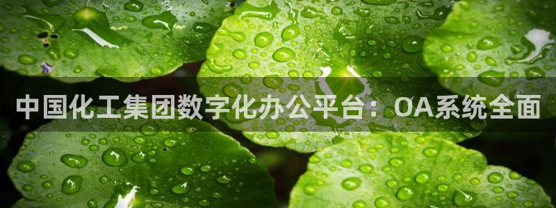 球盟会黑款吗知乎文章
