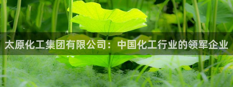 球盟会官方登录平台入口