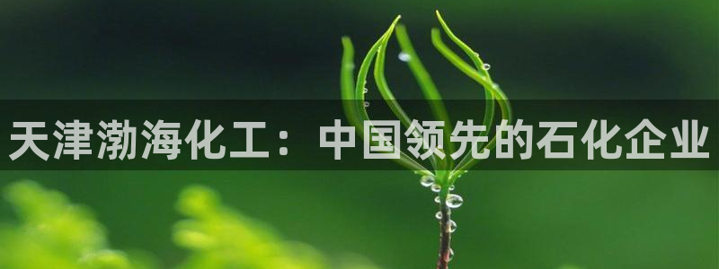 球盟会官方
