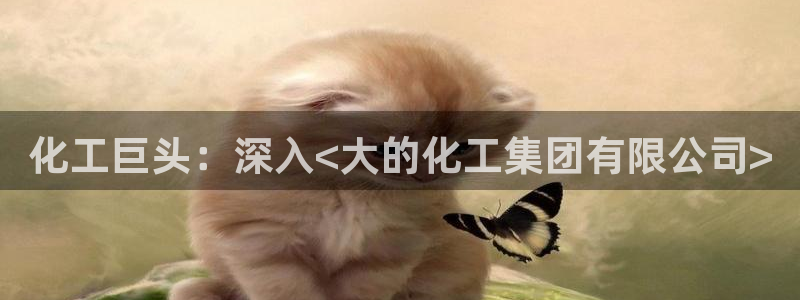 球盟会登录网址