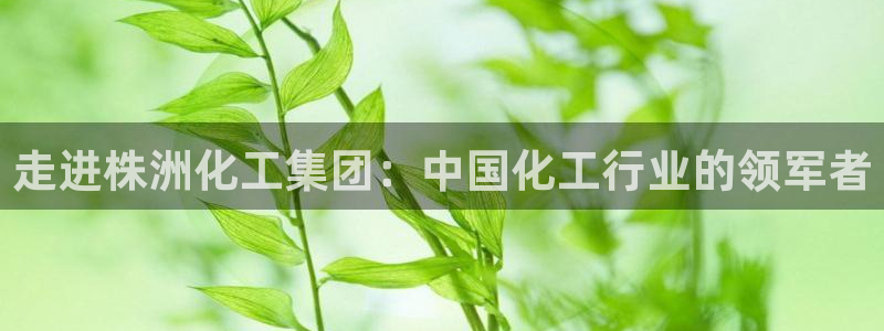 球盟会app手机登录