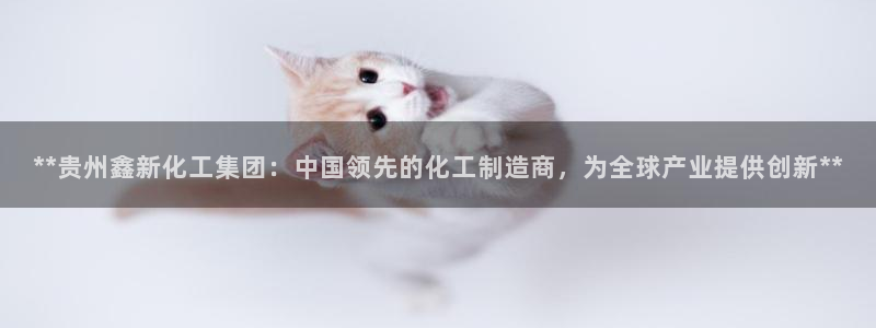 球盟会App
