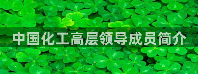 球盟会黑钱