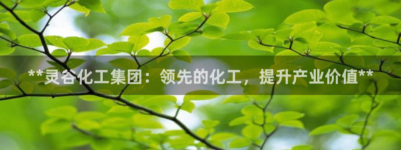球盟会福利码2023最简单三个步骤