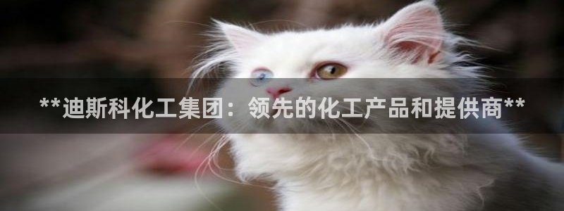 球盟会qmh电子网页版登录