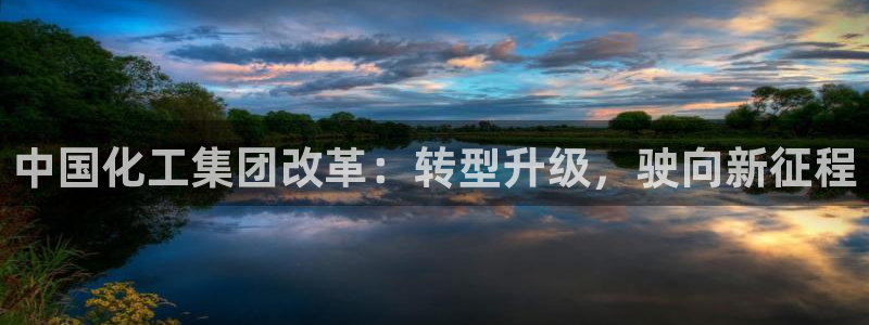 球盟会和中欧