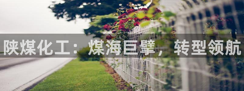 球盟会网页版登陆