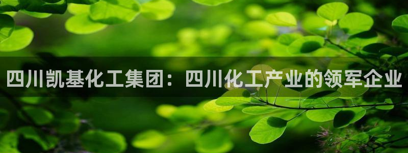 球盟会入口