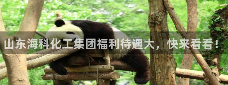 球盟会和中欧合作吗