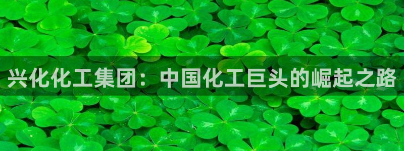 球盟会app安装