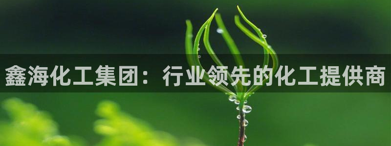 球盟会最新地址备用