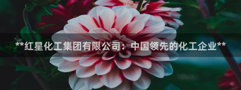 球盟会进不去吗