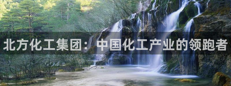 球盟会