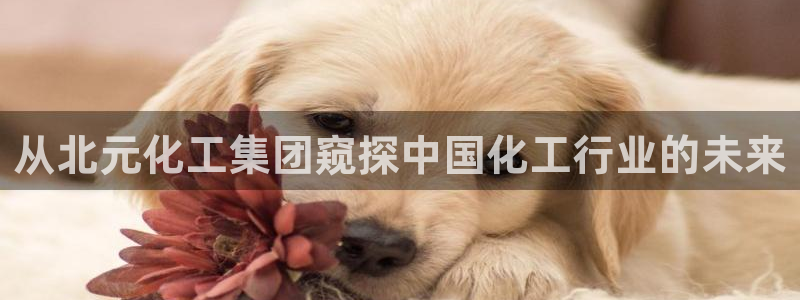 球盟会电子好下吗