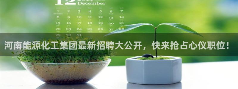 球盟会下载最新版