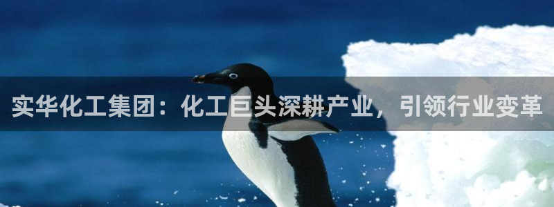 球盟会中国网页登录