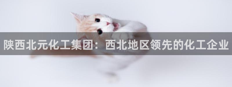 球盟会进不去：陕西北元化工集团：西北地区领先的化工企业