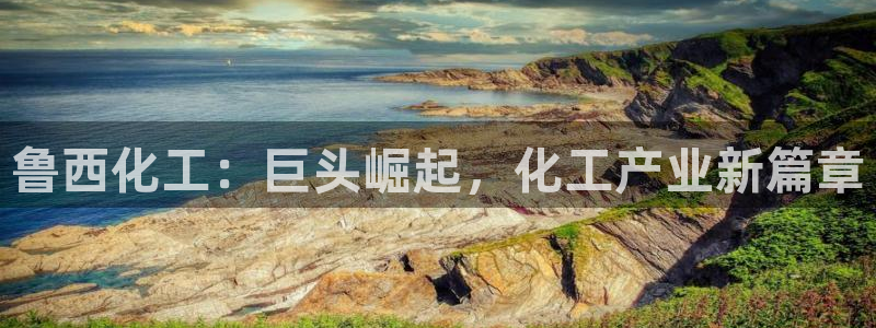 球盟会qmh登录地址