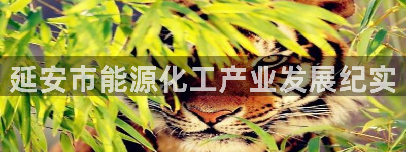 球盟会app手机登录