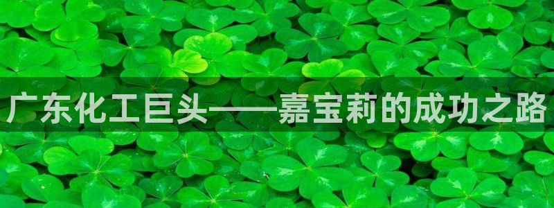 球盟会网页登录