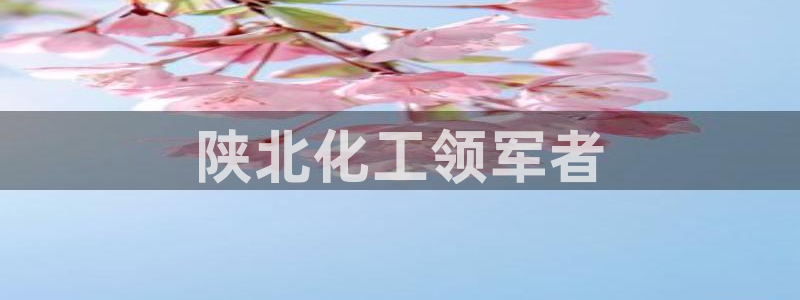 球盟会qm9：陕北化工领军者