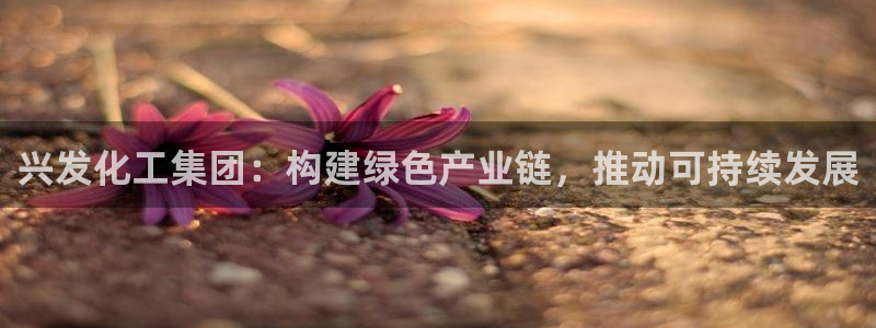 球盟会下载最新版