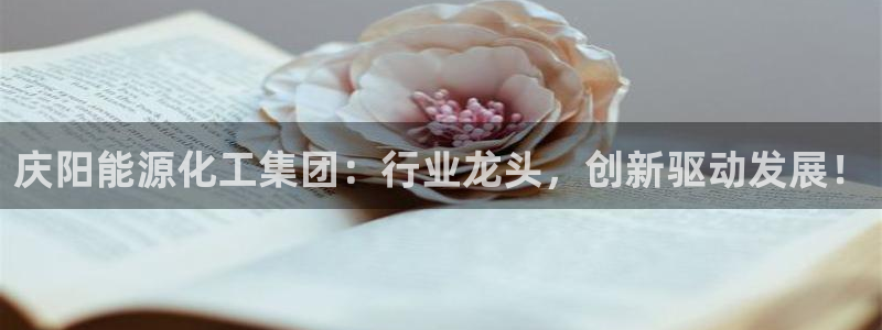 球盟会黑款吗：庆阳能源化工集团：行业龙头，创新驱动发展！