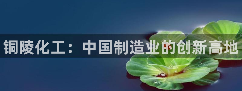 球盟会黑款吗知乎