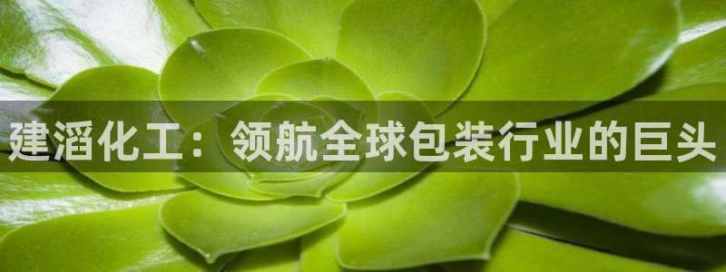 球盟会能退钱吗知乎