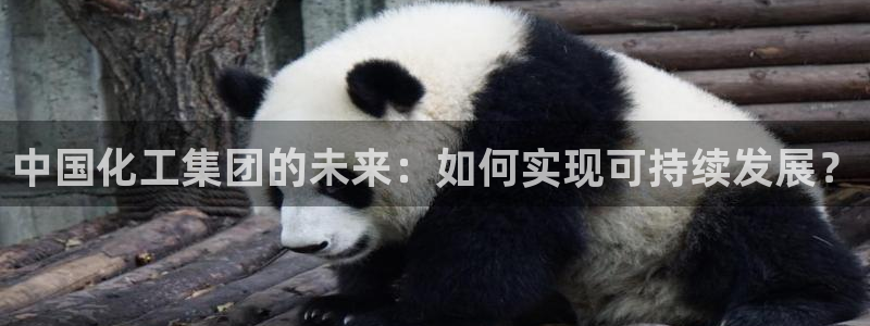 球盟会APP官网：中国化工集团的未来：如