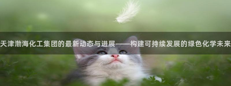 球盟会app最新地址在哪：天津渤海化工集