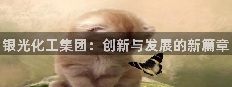 球盟会可以提现么：银光化工集团：创新与发展的新篇章