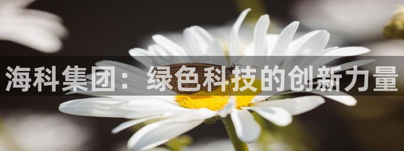 球盟会中国官方网站：海科集团：绿色科技的创新力量