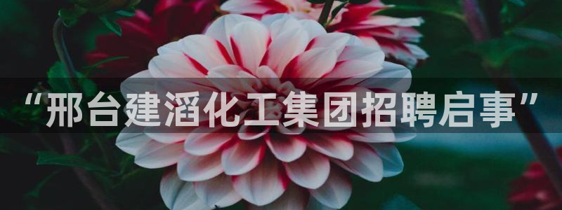 球盟会头号玩家：“邢台建滔化工集团招聘启事”
