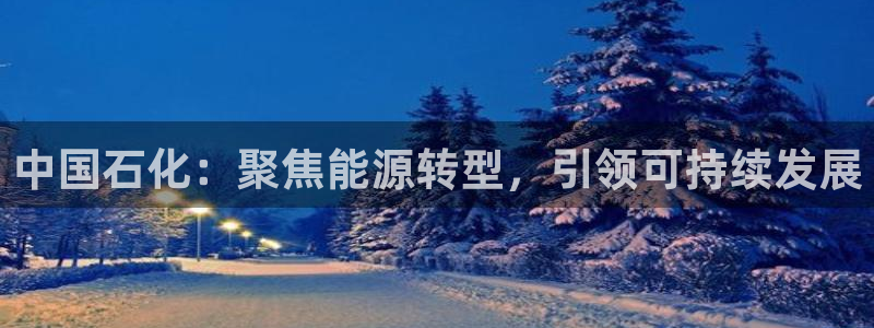 球盟会登录平台：中国石化：聚焦能源转型，引领可持续发展