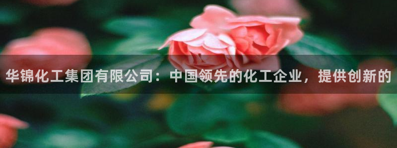 球盟会下载最新版：华锦化工集团有限公司：中国领先的化工企业，