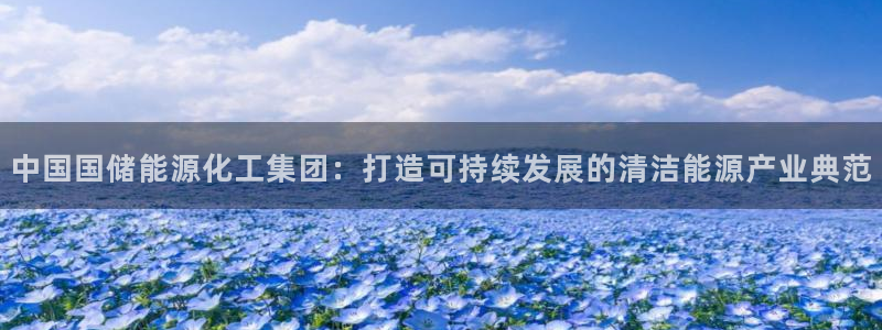 球盟会优惠领取网站是真的吗：中国国储能源化工集团：打造可持续