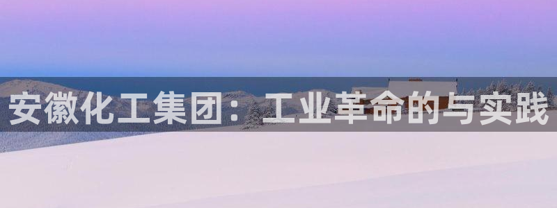 球盟会官方网入口：安徽化工集团：工业革命的与实践