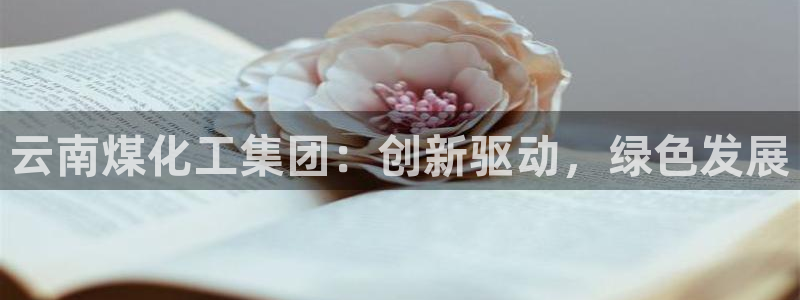 球盟会手机网页版：云南煤化工集团：创新驱动，绿色发展