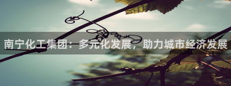 球盟会黑台子：南宁化工集团：多元化发展，助力城市经济发展
