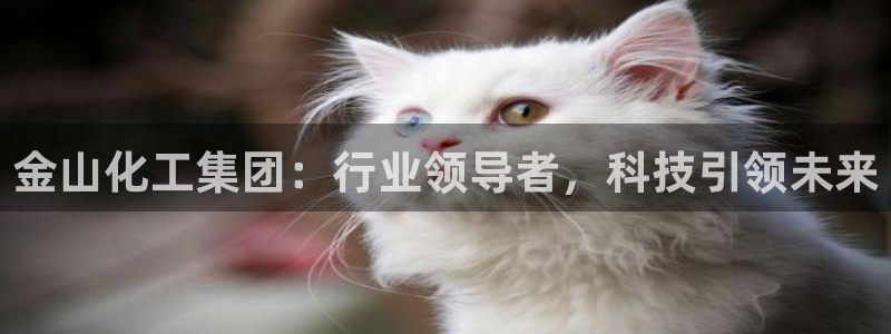 球盟会头号玩家：金山化工集团：行业领导者，科技引领未来