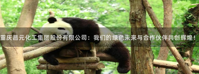 球盟会体验金球奖吗：重庆昌元化工集团股份有限公司：我们的绿色
